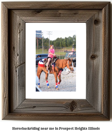 horseback riding near me in Prospect Heights, Illinois